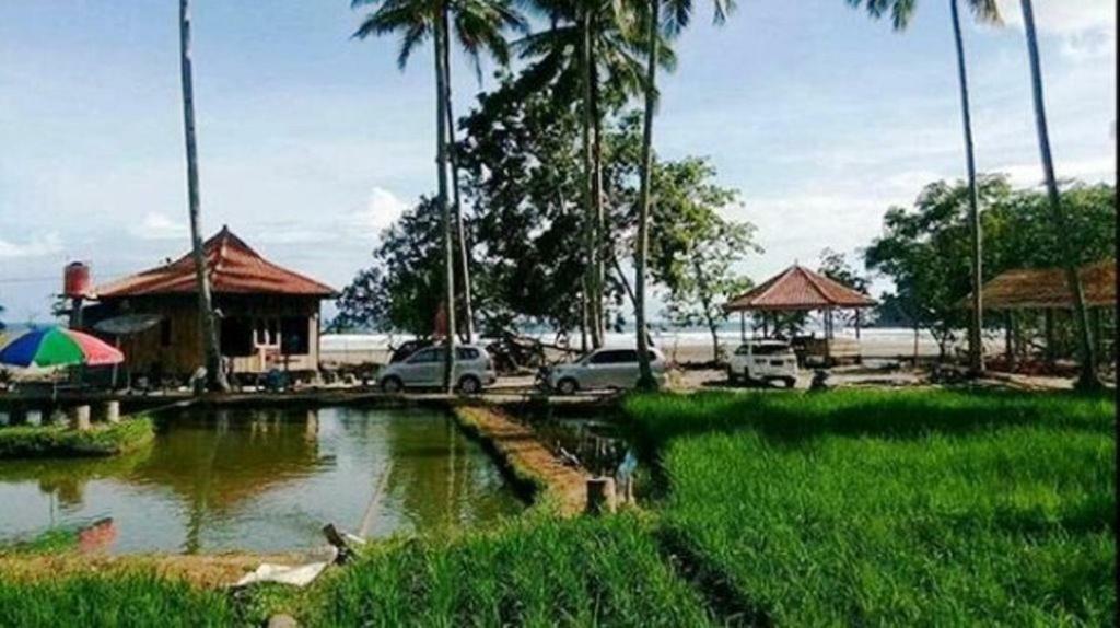 Revive Lampung Krui King Resort エクステリア 写真